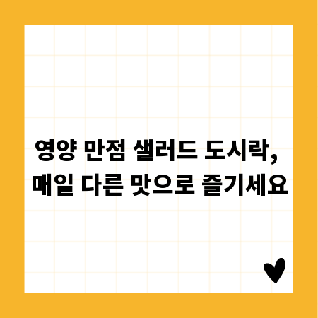 영양 만점 샐러드 도시락, 매일 다른 맛으로 즐기세요