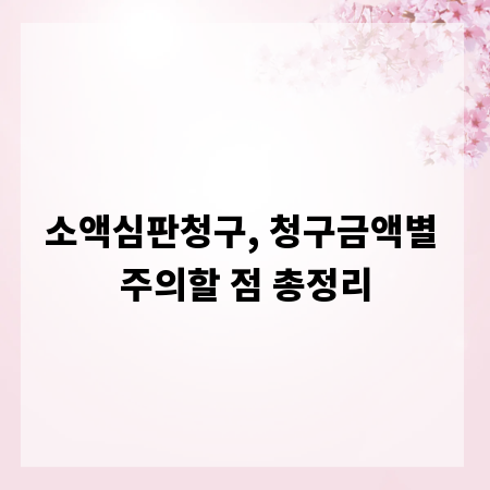 소액심판청구, 청구금액별 주의할 점 총정리