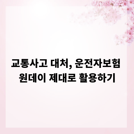 교통사고 대처, 운전자보험 원데이 제대로 활용하기