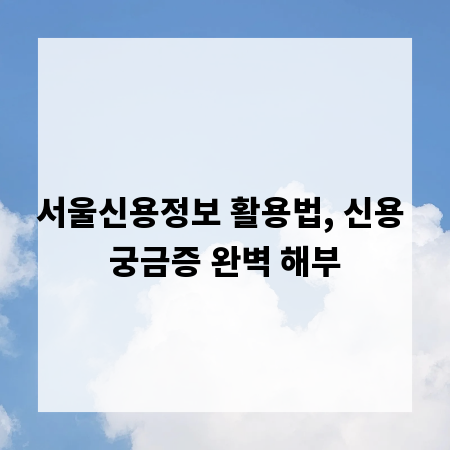 서울신용정보 활용법, 신용 궁금증 완벽 해부