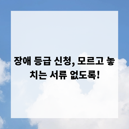 장애 등급 신청, 모르고 놓치는 서류 없도록!