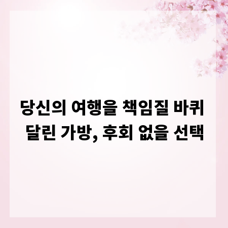 당신의 여행을 책임질 바퀴 달린 가방, 후회 없을 선택