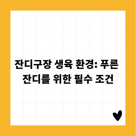 잔디구장 생육 환경: 푸른 잔디를 위한 필수 조건