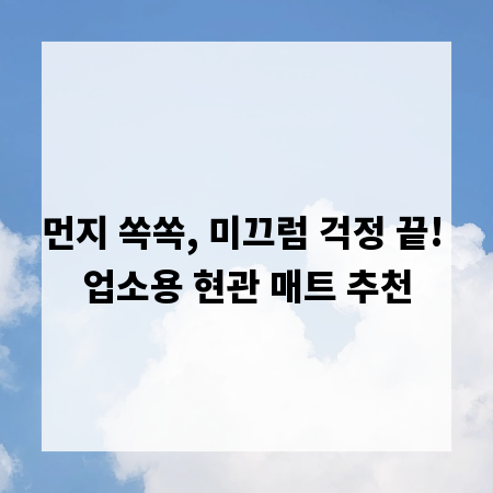 먼지 쏙쏙, 미끄럼 걱정 끝! 업소용 현관 매트 추천