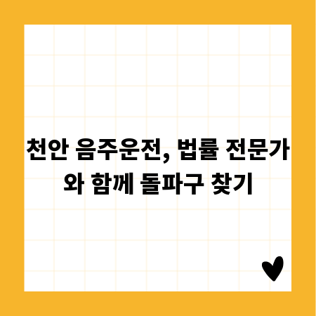 천안 음주운전, 법률 전문가와 함께 돌파구 찾기