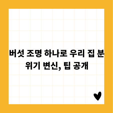 버섯 조명 하나로 우리 집 분위기 변신, 팁 공개