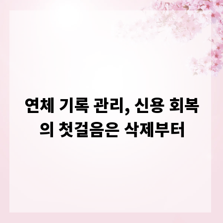 연체 기록 관리, 신용 회복의 첫걸음은 삭제부터