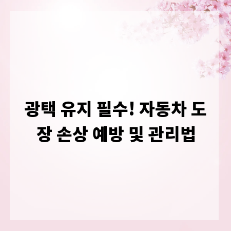 광택 유지 필수! 자동차 도장 손상 예방 및 관리법