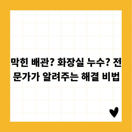 막힌 배관? 화장실 누수? 전문가가 알려주는 해결 비법