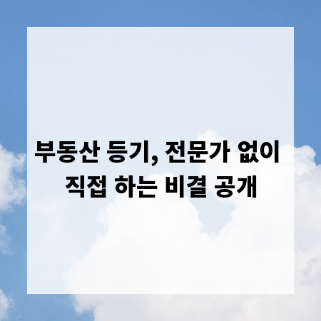 부동산 등기, 전문가 없이 직접 하는 비결 공개