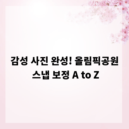 감성 사진 완성! 올림픽공원 스냅 보정 A to Z