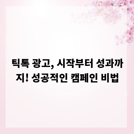 틱톡 광고, 시작부터 성과까지! 성공적인 캠페인 비법