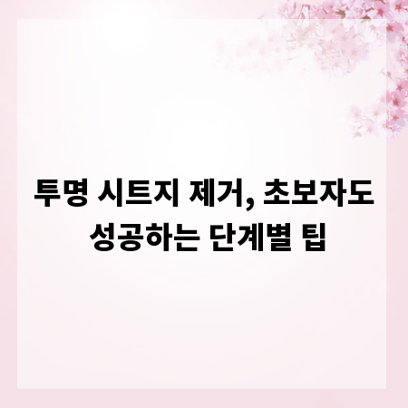 투명 시트지 제거, 초보자도 성공하는 단계별 팁