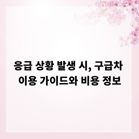 응급 상황 발생 시, 구급차 이용 가이드와 비용 정보