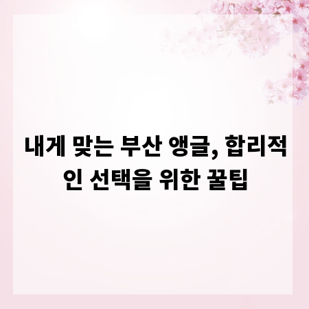 내게 맞는 부산 앵글, 합리적인 선택을 위한 꿀팁