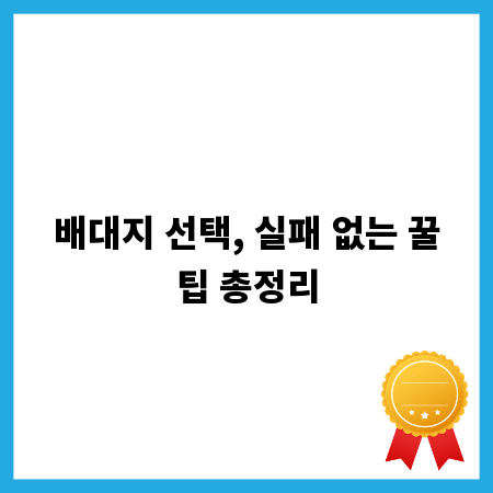배대지 선택, 실패 없는 꿀팁 총정리