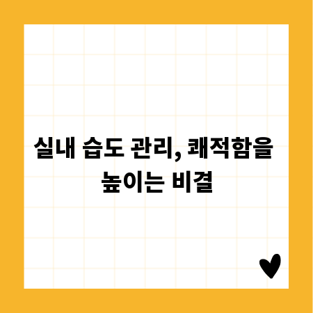 실내 습도 관리, 쾌적함을 높이는 비결