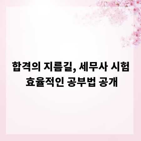 합격의 지름길, 세무사 시험 효율적인 공부법 공개
