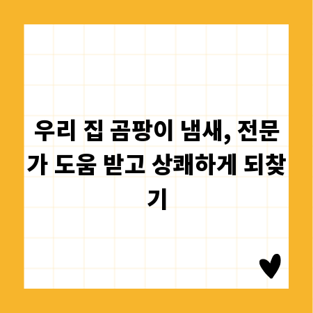 우리 집 곰팡이 냄새, 전문가 도움 받고 상쾌하게 되찾기