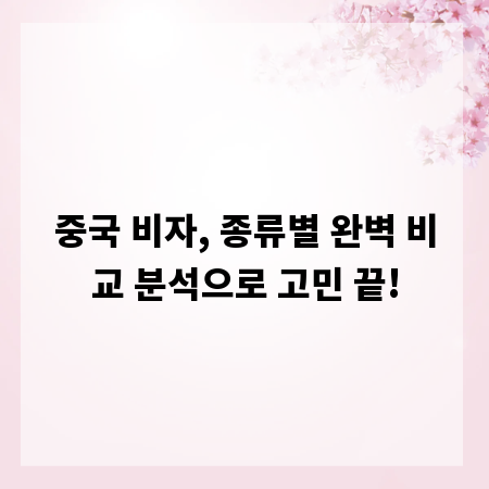 중국 비자, 종류별 완벽 비교 분석으로 고민 끝!