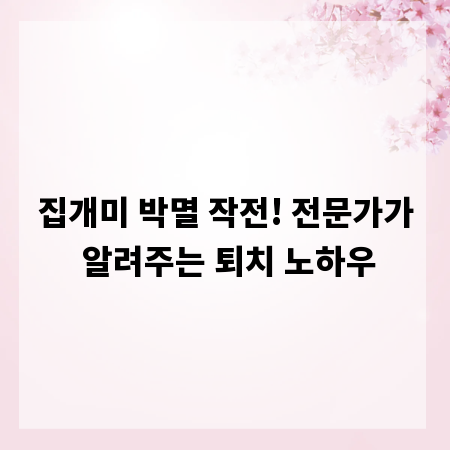 집개미 박멸 작전! 전문가가 알려주는 퇴치 노하우