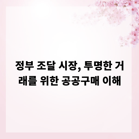 정부 조달 시장, 투명한 거래를 위한 공공구매 이해