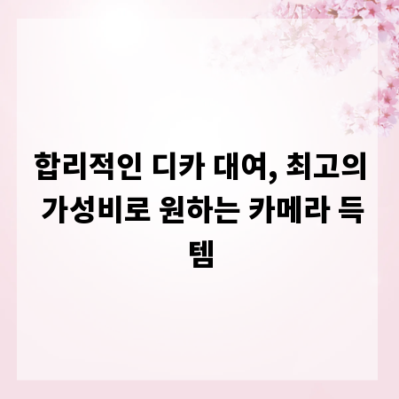 합리적인 디카 대여, 최고의 가성비로 원하는 카메라 득템