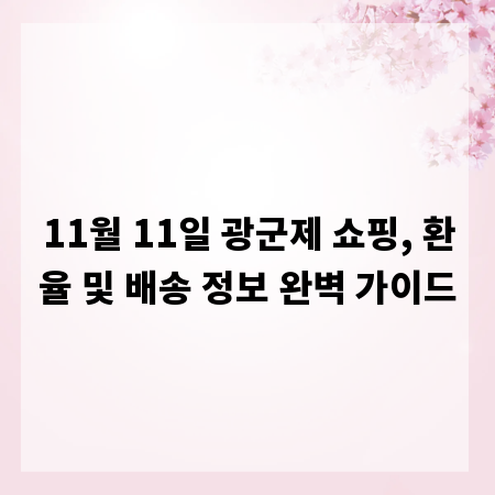 11월 11일 광군제 쇼핑, 환율 및 배송 정보 완벽 가이드
