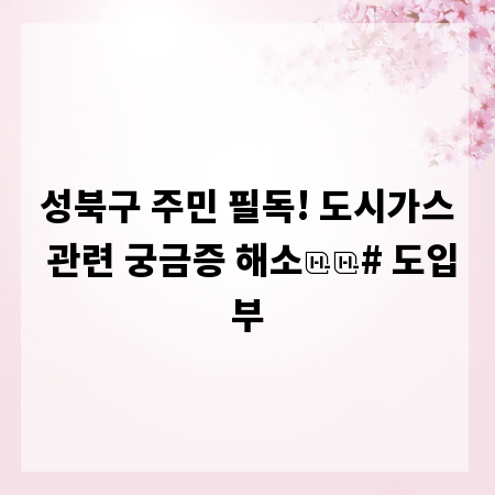 성북구 주민 필독! 도시가스 관련 궁금증 해소

# 도입부