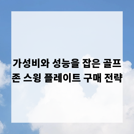 가성비와 성능을 잡은 골프존 스윙 플레이트 구매 전략