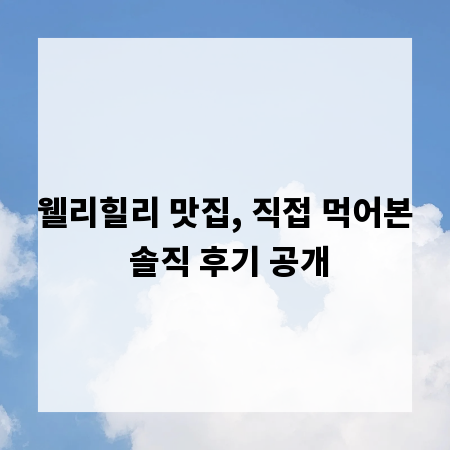 웰리힐리 맛집, 직접 먹어본 솔직 후기 공개