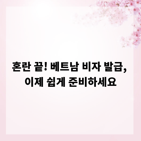 혼란 끝! 베트남 비자 발급, 이제 쉽게 준비하세요