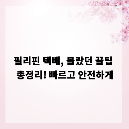 필리핀 택배, 몰랐던 꿀팁 총정리! 빠르고 안전하게