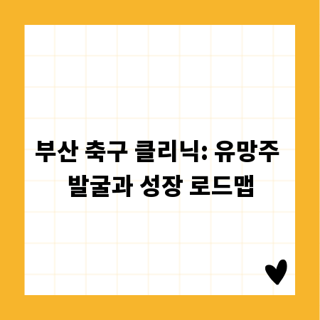 부산 축구 클리닉: 유망주 발굴과 성장 로드맵