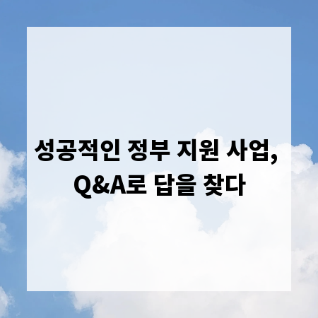 성공적인 정부 지원 사업, Q&A로 답을 찾다