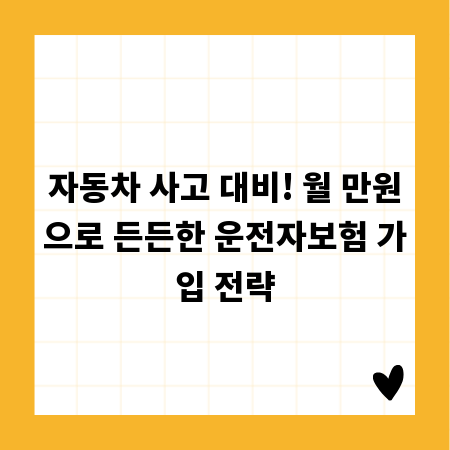 자동차 사고 대비! 월 만원으로 든든한 운전자보험 가입 전략