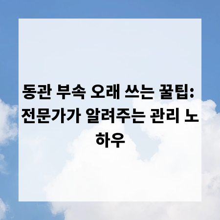 동관 부속 오래 쓰는 꿀팁: 전문가가 알려주는 관리 노하우