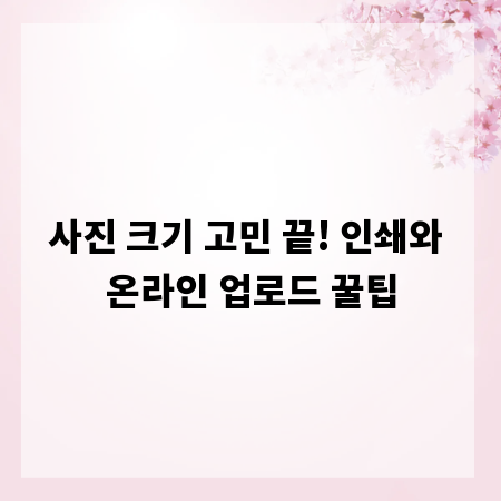 사진 크기 고민 끝! 인쇄와 온라인 업로드 꿀팁