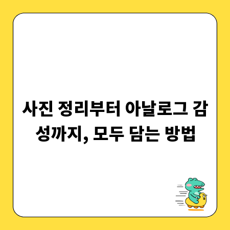사진 정리부터 아날로그 감성까지, 모두 담는 방법
