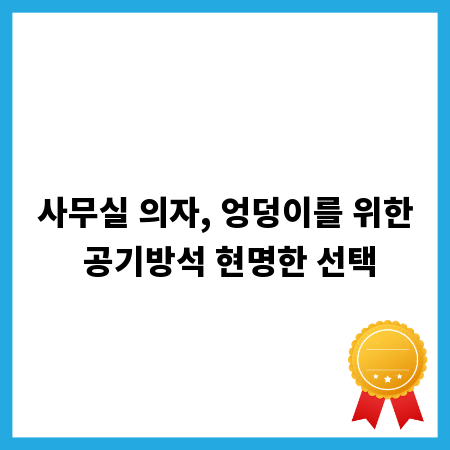사무실 의자, 엉덩이를 위한 공기방석 현명한 선택