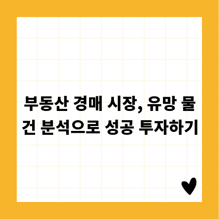 부동산 경매 시장, 유망 물건 분석으로 성공 투자하기