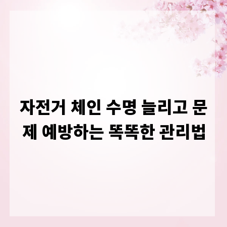 자전거 체인 수명 늘리고 문제 예방하는 똑똑한 관리법