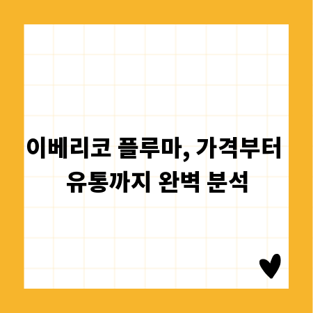 이베리코 플루마, 가격부터 유통까지 완벽 분석