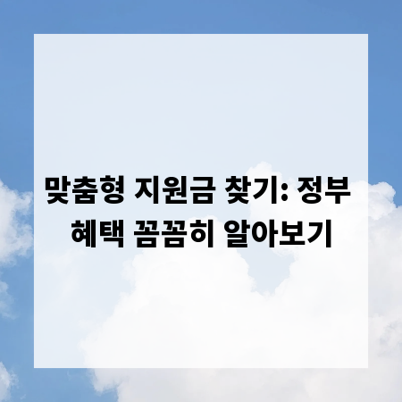 맞춤형 지원금 찾기: 정부 혜택 꼼꼼히 알아보기