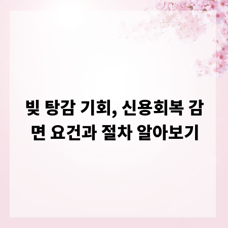 빚 탕감 기회, 신용회복 감면 요건과 절차 알아보기