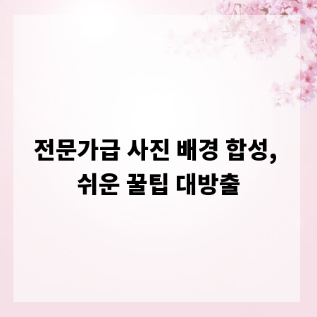 전문가급 사진 배경 합성, 쉬운 꿀팁 대방출
