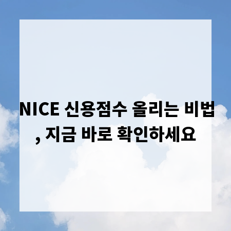NICE 신용점수 올리는 비법, 지금 바로 확인하세요