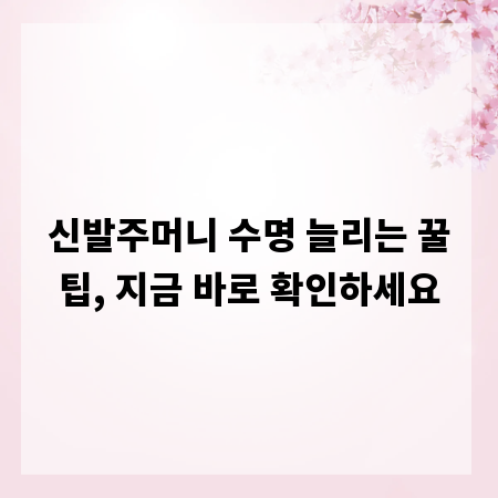 신발주머니 수명 늘리는 꿀팁, 지금 바로 확인하세요