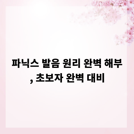 파닉스 발음 원리 완벽 해부, 초보자 완벽 대비