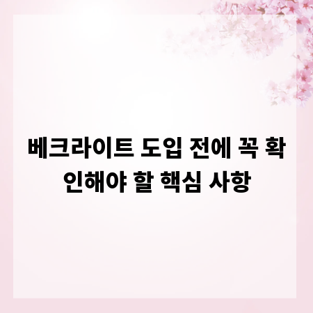 베크라이트 도입 전에 꼭 확인해야 할 핵심 사항